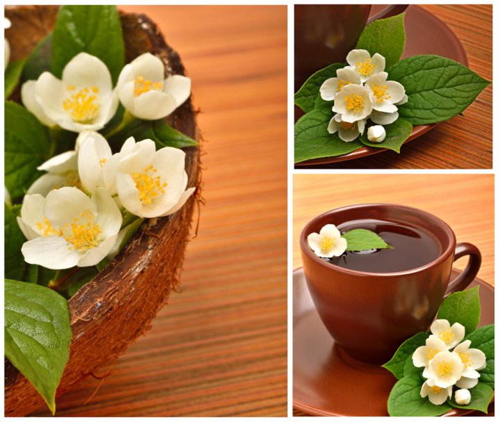 ceai de iasomie, flori de iasomie