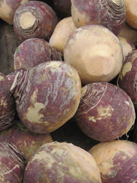 Gulia, leguma terapeut Gulia, leguma terapeut