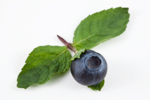 10 plante care scad glicemia si tin diabetul sub control, Afinul sau insulina vegetala 10 plante care scad glicemia si tin diabetul sub control, Afinul sau insulina vegetala