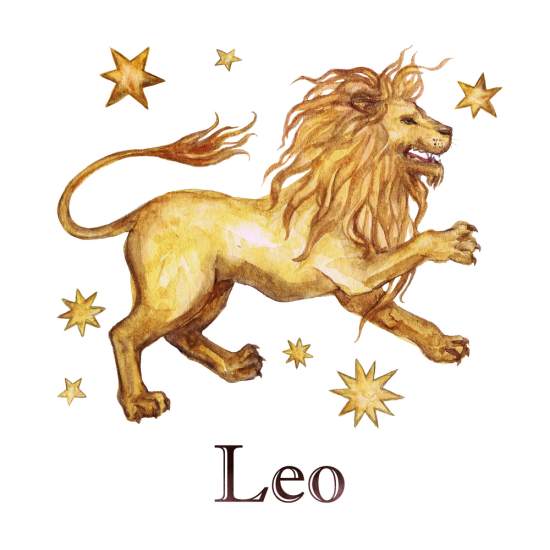   lion, star leo 