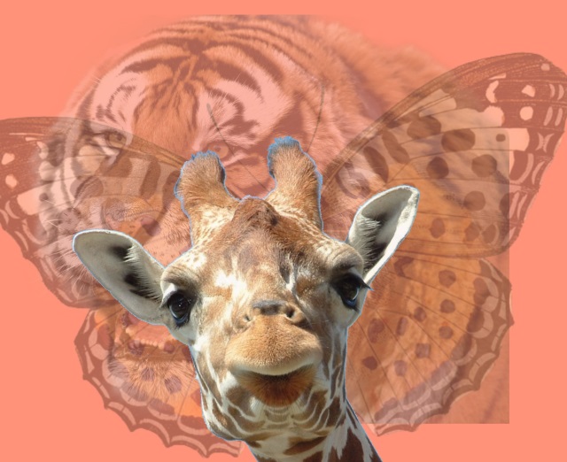 girafa, test de personalitate
