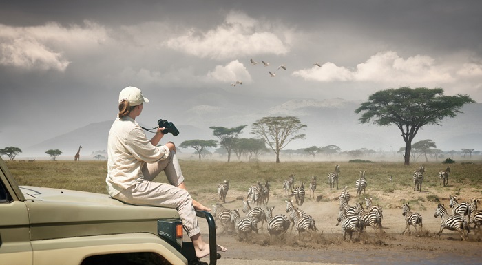 parcul national Serengeti, Tanzania