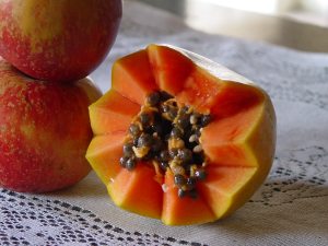 papaya, fructul ingerilor