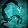 scorpion, horoscop 2014