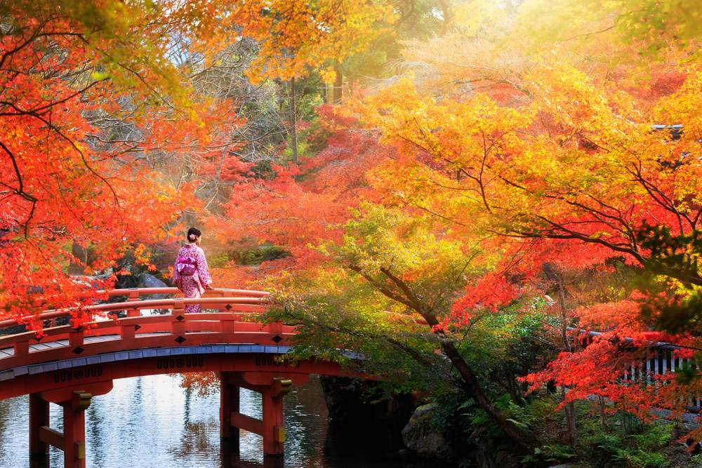 Toamna In Japonia Foto Peisaje De Toamna Din Toate Colturile Lumii