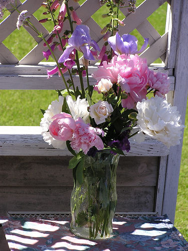 Vaza Cu Flori De Vara Imagini Cu Flori 20 De Imagini Superbe Cu